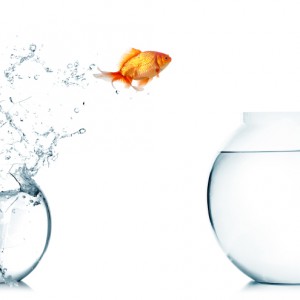 Know Your Rights: Key Points to Consider When Selecting a Marketing Firm